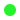 neon groen