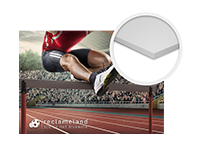 sportdrukwerk forex